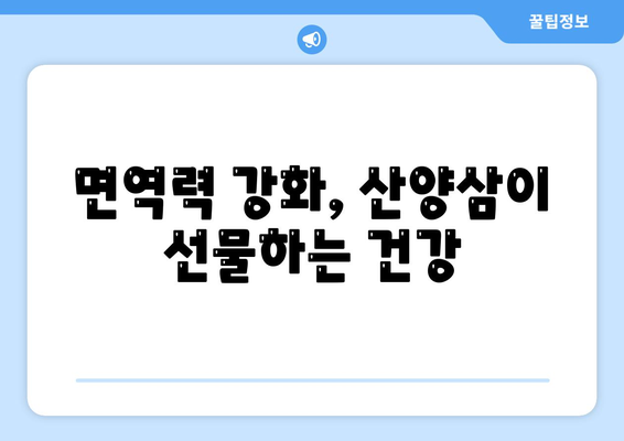 산양삼 효능