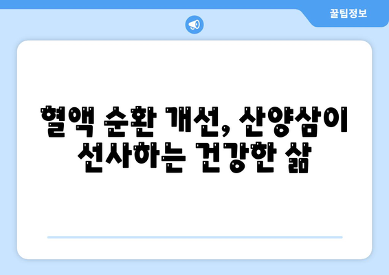 산양삼 효능