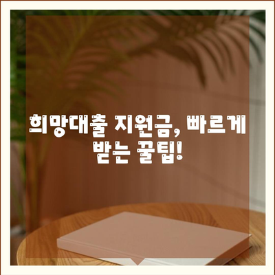 소상공인 희망대출 지원금 신청