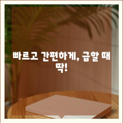 카카오뱅크 비상금 대출