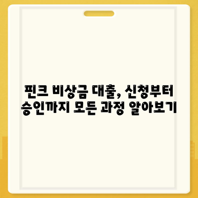 핀크 비상금 대출