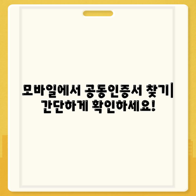 공동인증서 위치