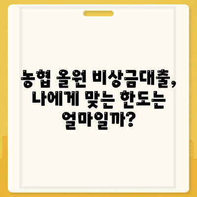 농협 올원 비상금대출