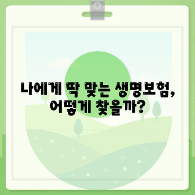 생명 보험 추천 순위