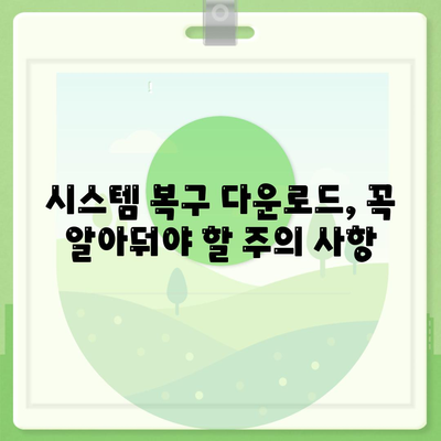 시스템 복구 다운로드