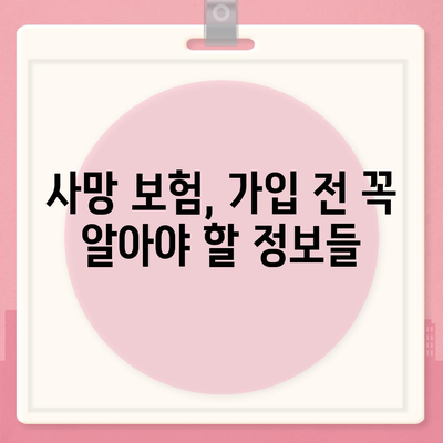 사망 보험 설계