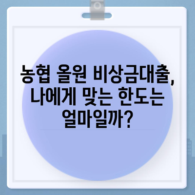 농협 올원 비상금대출