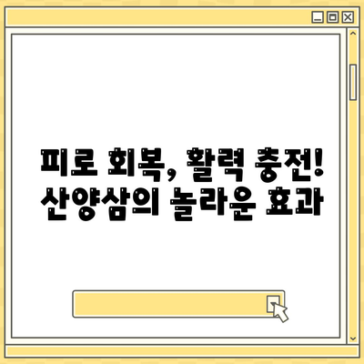 산양삼 효능