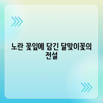 달맞이꽃