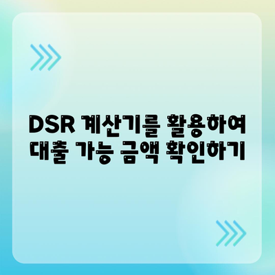 dsr 계산기