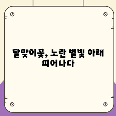 달맞이꽃