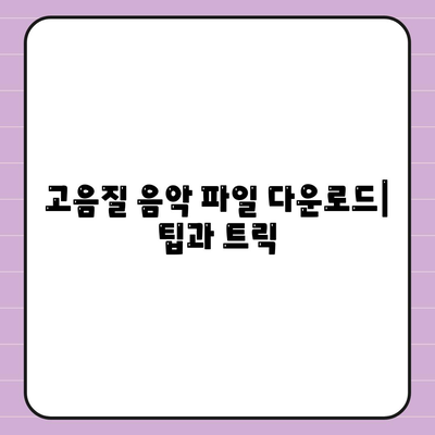 음악 파일 다운로드