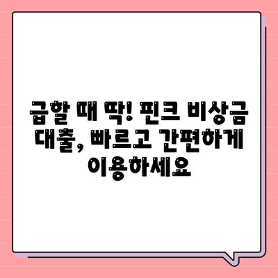 핀크 비상금 대출