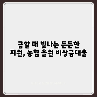 농협 올원 비상금대출