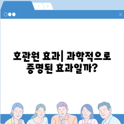 호관원 효과