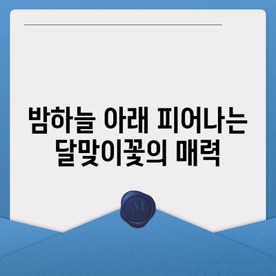 달맞이꽃