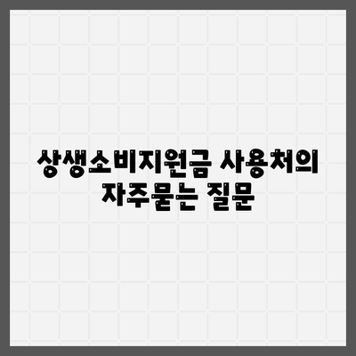 상생소비지원금 사용처