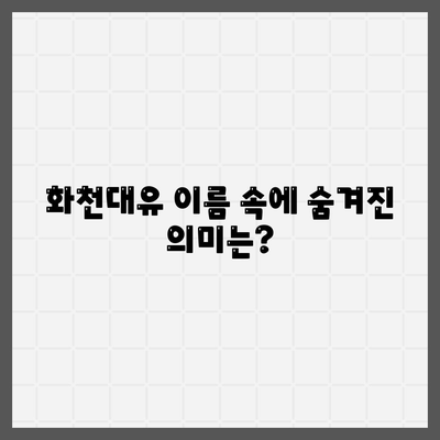 화천대유 뜻