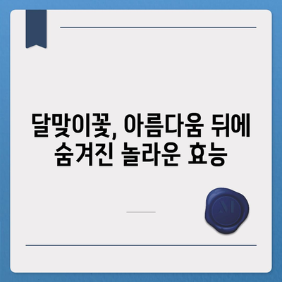 달맞이꽃