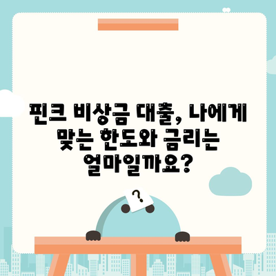 핀크 비상금 대출