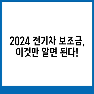 2024 전기차보조금