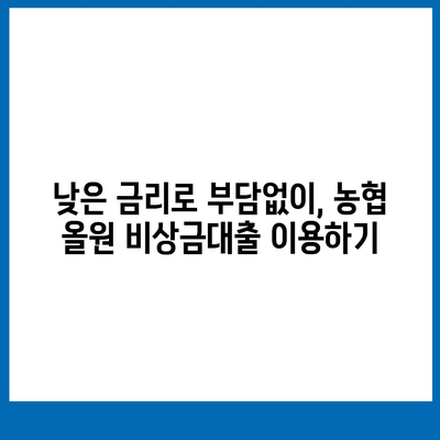 농협 올원 비상금대출