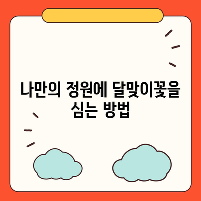 달맞이꽃