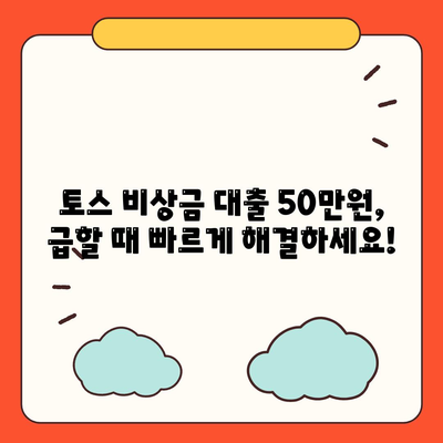 토스 비상금 대출 50만원