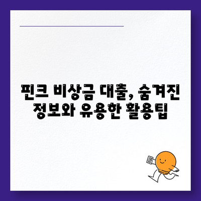 핀크 비상금 대출