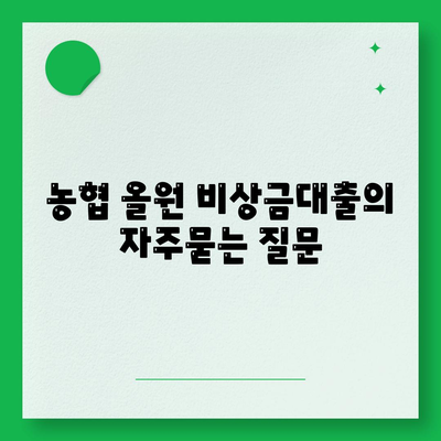 농협 올원 비상금대출