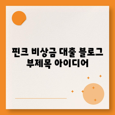 핀크 비상금 대출