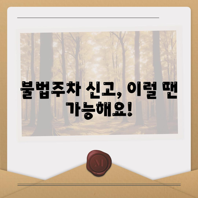 불법주차신고 기준