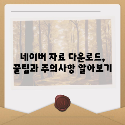 네이버 자료 다운로드