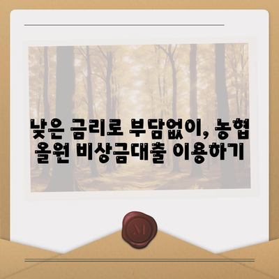 농협 올원 비상금대출