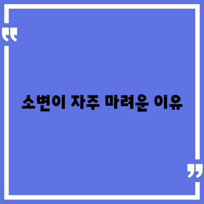 소변이 자주 마려운 이유