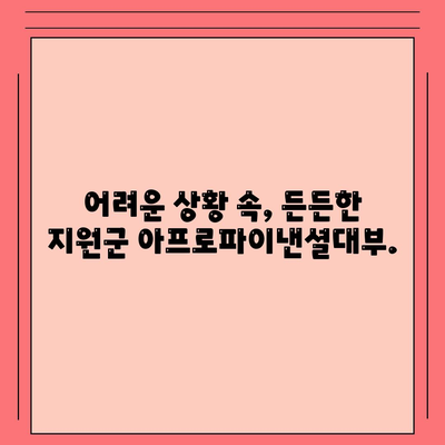 아프로파이낸셜대부