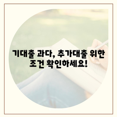 기대출 과다자 추가대출 조건