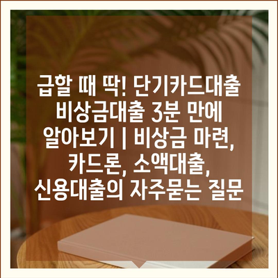 급할 때 딱! 단기카드대출 비상금대출 3분 만에 알아보기 | 비상금 마련, 카드론, 소액대출, 신용대출