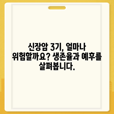 신장암 3기, 생존율과 증상, 원인 완벽 분석 | 신장암, 3기, 생존율, 증상, 원인, 치료