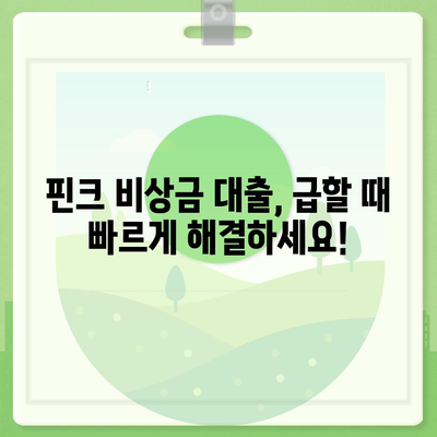 핀크 비상금 대출, 급할 때 딱! | 빠른 승인, 간편한 신청, 금리 비교