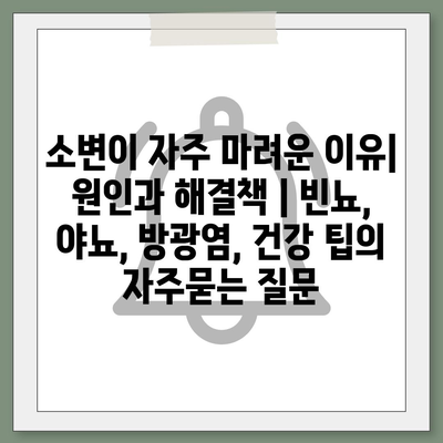 소변이 자주 마려운 이유| 원인과 해결책 | 빈뇨, 야뇨, 방광염, 건강 팁