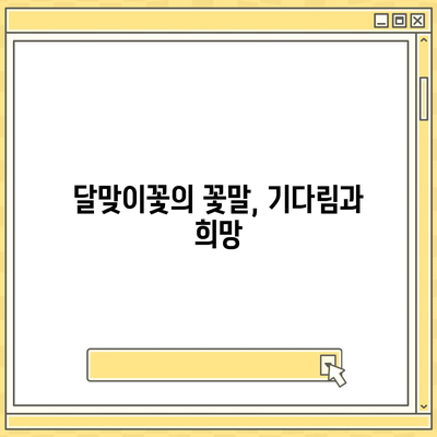 달맞이꽃의 매력,  야생화 정원에 피어나는 아름다움 | 야생화, 꽃말, 재배 정보, 효능