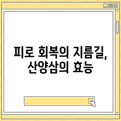 산양삼 효능, 건강 지키는 특별한 선물 | 면역력 강화, 항암 효과, 피로 회복, 건강 정보