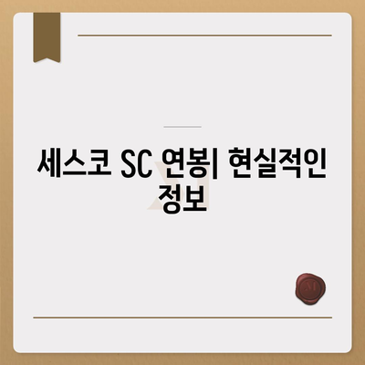 세스코 SC 연봉| 상세 분석 및 현실적인 정보 | 세스코, 연봉, 급여, 채용, 정보