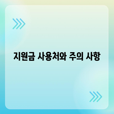 충청남도 계룡시 두마면 민생회복지원금 | 신청 | 신청방법 | 대상 | 지급일 | 사용처 | 전국민 | 이재명 | 2024