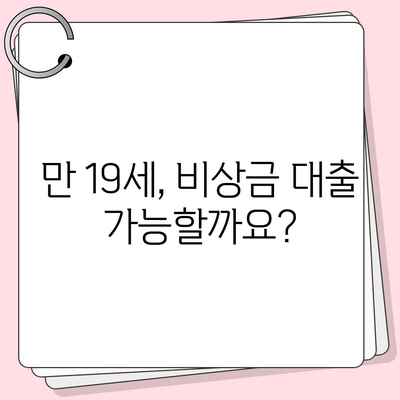 만 19세, 비상금 대출 신청 가능할까요? | 비상금 대출 조건, 신청 방법, 주의 사항