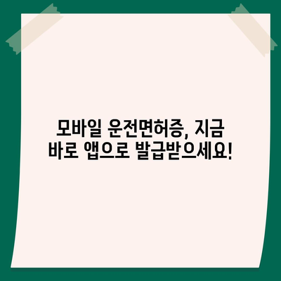 모바일 운전면허증 사용 가이드 | 앱 설치부터 활용까지, 모든 것을 알려드립니다!