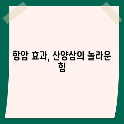 산양삼 효능, 건강 지키는 특별한 선물 | 면역력 강화, 항암 효과, 피로 회복, 건강 정보