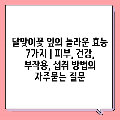 달맞이꽃 잎의 놀라운 효능 7가지 | 피부, 건강, 부작용, 섭취 방법