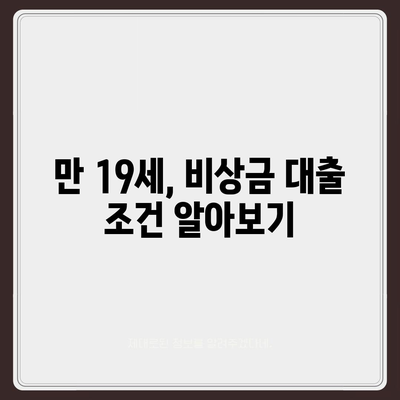 만 19세, 비상금 대출 신청 가능할까요? | 비상금 대출 조건, 신청 방법, 주의 사항